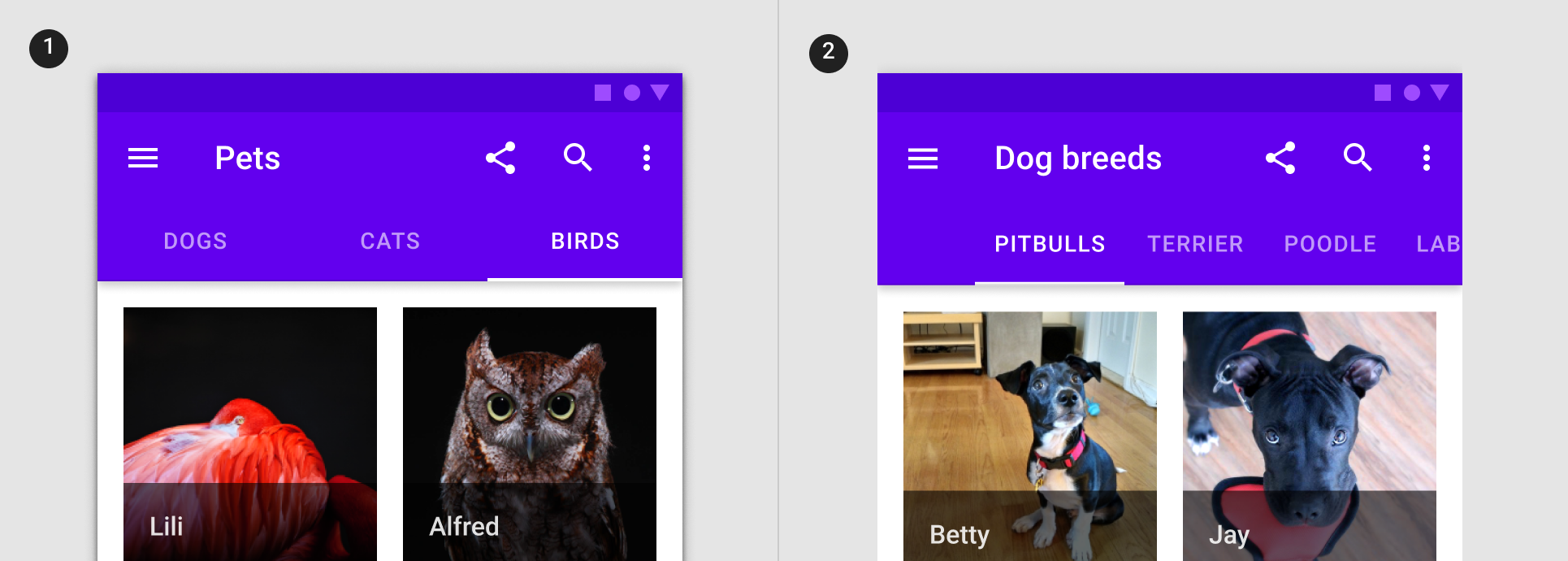 Composite image: Pets with Dogs, Cats, and Birds tabs; Dog breeds with Pitbulls, Terrier, Poodle, Labrador (partial)