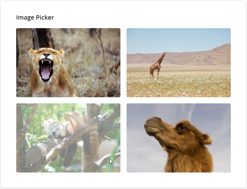 Image Picker